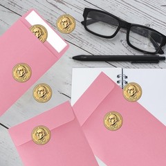 100 Pcs 3.5×6.5 Inch Paper Money Envelopes for Cash Coin Seeds Small Items