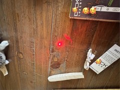 Official D Lazer Laser Pointer Laser Di*k Lazer Gag Black Light Flash Light 1