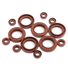 Oil Seal Metric Size Rotary Shaft Seal 22 to 26mm Inner diameter FKM Rubber 70