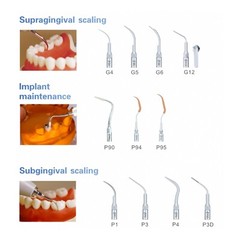 Woodpecker U6 LED Dental Ultrasonic Scaler Scaling Perio Endo Handpiece + 7 Tips
