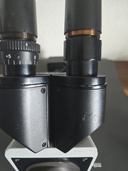 AmScope MD1900 19 MP Microscope Camera USB 19.80mm ID Optic w Omax View Head