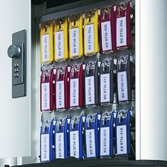 Key Safe Box 54 – Wall Mounted Lockable Key Holder Cabinet with Combination L…