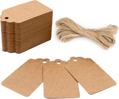100PCS Blank Gift Tags with String 2.8 x 1.6 Inch Hanging Labels for Crafts Gift