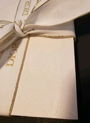 DIOR Flower Embossed White/Gold Blank Notebook Diaries Limited Edition w/Ribbon