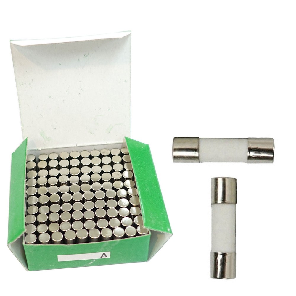 8A 250V/125V Quick Fast Blow Ceramic Tube Fuse (100x) 5×20 mm 8 Amp 5mm x 20mm