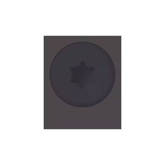 9 In. X 1 In.-7/8 In. Indian Ebony Stainless Steel Torx Drive Pan Head Composite