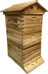 Beekeeping 3 Box Full Kit 2x Brood 1x Auto Seep Honey Super Beehive Frame WAXED