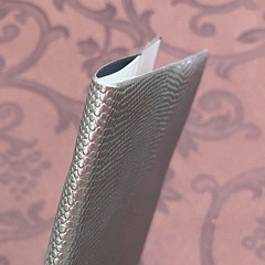 Etrange di Costa Rica B6 Lizard Leather Book Cover Anime Collectible New