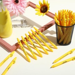 100 Pcs Funny Pens Coworker Appreciation Gifts Inspirational Motivational Quo…