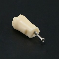 Dental Typodont Replacement Screw-in Teeth Model fit Kilgore NISSIN 200/500 Type