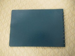 Dome Simplified Home Budget Book (Vintage)