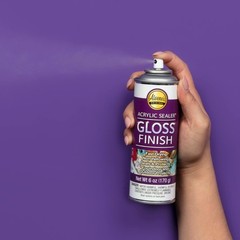 Spray Gloss Acrylic Sealer 6 Oz Clear Finish for Wood Metal Glass Projects