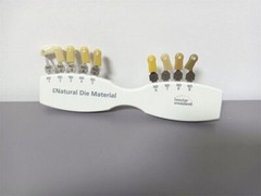 Dental IPS Natural Die Material Shade Guide Ivoclar Vivadent ND1-9 Abutment