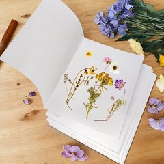 Lineco Acid-Free 25 Pack 11.5×16.5 Bookbinding Book Repair Paper Art Supply