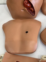 Traumatic Wound Simulation Lot Of 27 For Education Medical Plastics Laboratory