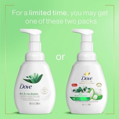 Dove Foaming Hand Wash 4 Count 10.1 Fl Oz (Pack of 4), Aloe and Eucalyptus