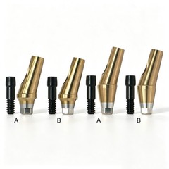 Regular 17°Angulated Angled Anatomic Abutment Osstem Hiossen Implants Ø4.5/5.0mm