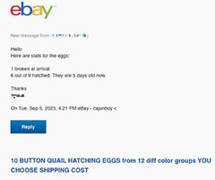 25 BUTTON QUAIL EGGS from 12+ vars ships 2 day FEDEX PLEASE READ Carton Packed