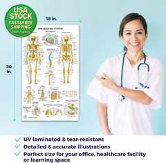 12 Human Anatomy Posters Laminated Medical Biology Health Classroom 18X30