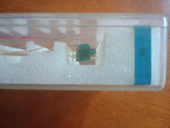25 NOS Western Electric Type B Transistors (USA) 1960s
