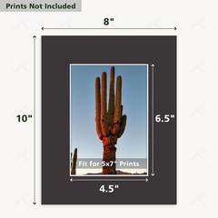 Golden State Art, Pack of 10, 8×10 Classic Black Picture Mats with White Core…