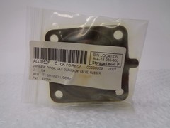 ITT GRINNELL GROUP EPDW DIAPHRAGM NSNP