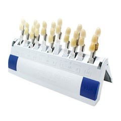 Dental VITA Toothguide 3D Master with Bleached Shade Guide 29 Colors 16 Colors