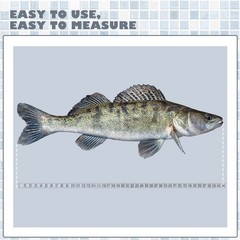 6 Pcs Fish Ruler Decal Measuring Tape Sticker 42 Inch, as picture shown