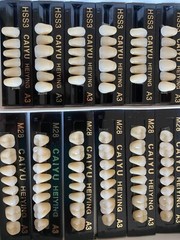 3 Complete Sets Acrylic Denture Teeth A1 A2 A3 A3.5 S M L X-L 84 In BOX