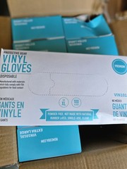 1000 Vinyl Gloves XL Disposable Glove Bluezen 10 box X 100