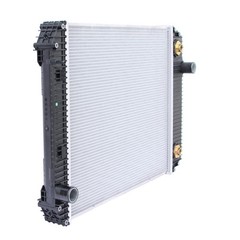 2 Row Radiator For Freightliner FL50 FL60 FL70 Thomas Bus OEM# 1AH0010S BHT79226