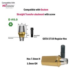 Dental Titanium Straight Abutment Ti Cemented Abutment Fits to Osstem Hiossen TS