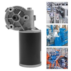 24V Worm Gear Reducer Gearbox 45W Electric Gear Motor 3:60 Ratio D63R-2445-220R