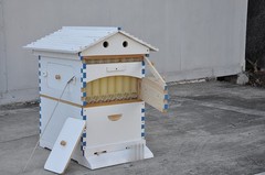 7PCS Automatic Honey Beehive Frames + White Painted Beehive House wooden Box New