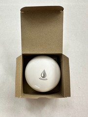 WT500 PipeBurst Pro LoRaWAN Leak Detector
