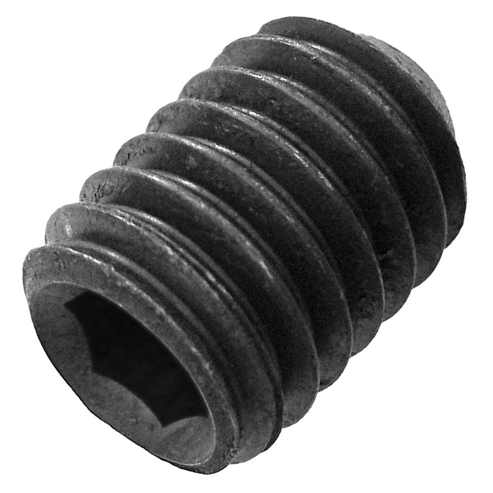 Metric Socket Set Screws M6-1.0 x 8 mm, Black, 2 Pack