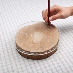 300mm/11.8 Inch Round Center Finder Compass Wood Turners Lathe Clear Acrylic
