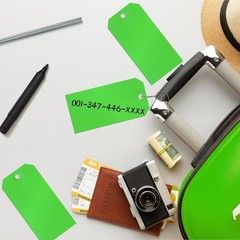 Versatile 200-Piece Green Shipping Tags – Ideal for Inventory & Organization