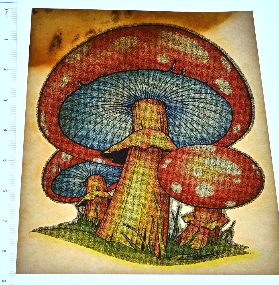 Original VINTAGE 1970s Heat Transfer | Psychedelic Red Mushroom – 10 Transfers