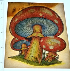 Original VINTAGE 1970s Heat Transfer | Psychedelic Red Mushroom – 10 Transfers