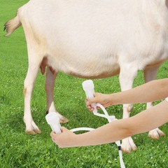 2in1 Pulsation Cow Milking Machine Milking Machine w/Stainless Steel Bucket 5L