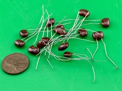 250pF 500V ~ CDE & EM ~ SILVER MICA DIPPED CAPACITORS ~ LOT of: 10, 25 or 100