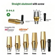 US Titanium Straight Abutment Hex For Hiossen ET Osstem TS Mini Regular Platform