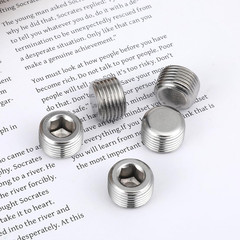 5 PCS 3/8″ NPT Male Pipe Plug Stainless Steel Pipe Plug Fitting Set Hex Counter