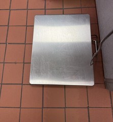 Angel USA Extra Large Platform 22 Inches x 18 Inches Stainless Steel 400 Pounds