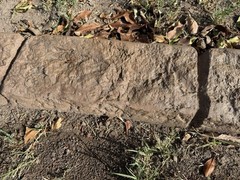 Onyx Stone Concrete Stamp- Stone Texture For Landscape Curbing & Vertical