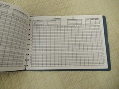 Dome Simplified Home Budget Book (Vintage)