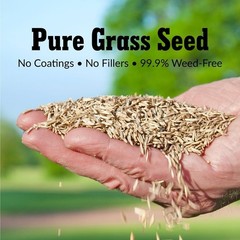 Pure Grass Seed Kentucky Bluegrass Blend 7 Lb 7000SqFt 14-28 Days Germinate