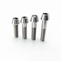 M6 Titanium Bolt Taper 10/16/18/20/25/30/35/40/45/50~65mm Allen Socket Cap Screw