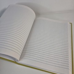 Vintage Federal Supply Service Record Book Set Of 2 Green Cloth Ruled Paper